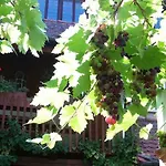 & Restaurant Sonnenhoefle 3* Sommerhausen