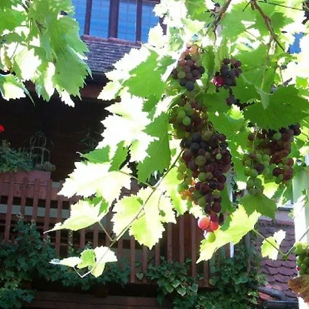 & Restaurant Sonnenhoefle 3* Sommerhausen